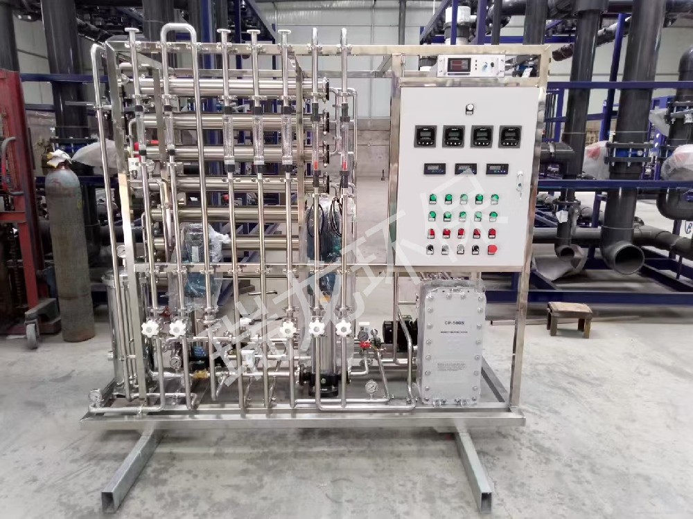 瑞龍環保純化水案例-0.5T二級反滲透+EDI純化水